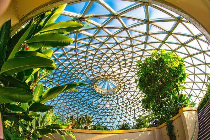 Brisbane Bus Tour: Max 10 people | Half Day | Morning tea inc. - An Introduction to Brisbane’s Charm in a Compact Tour