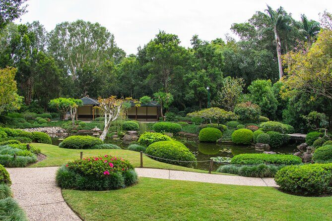 Brisbane Bus Tour: Max 10 people | Half Day | Morning tea inc. - Overall Experience: Who Will Love It?