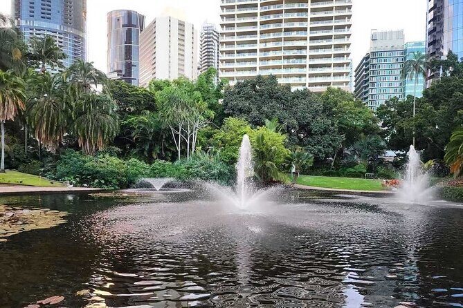 Brisbane Drive by Day - Private Tour - The Sum Up