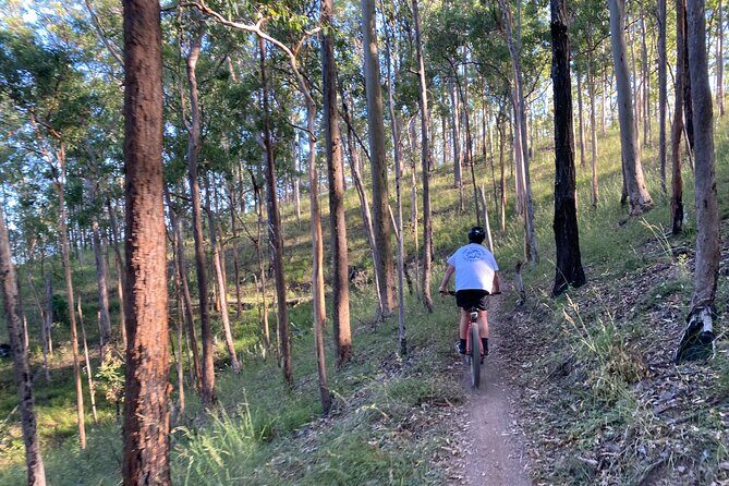 Brisbane Electric Mountain Bike Experience Tour - Weather and Cancellation Policy