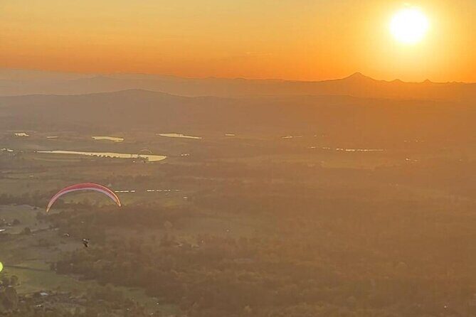 Brisbane: Glow Worms, Sunset, Telescope Stargazing & Dinner - Areas for Improvement