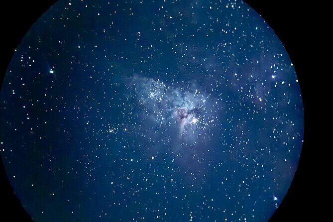 Brisbane/Gold Coast: Sunset, Dinner, Stars/Premium Telescope - What We Loved and What to Consider