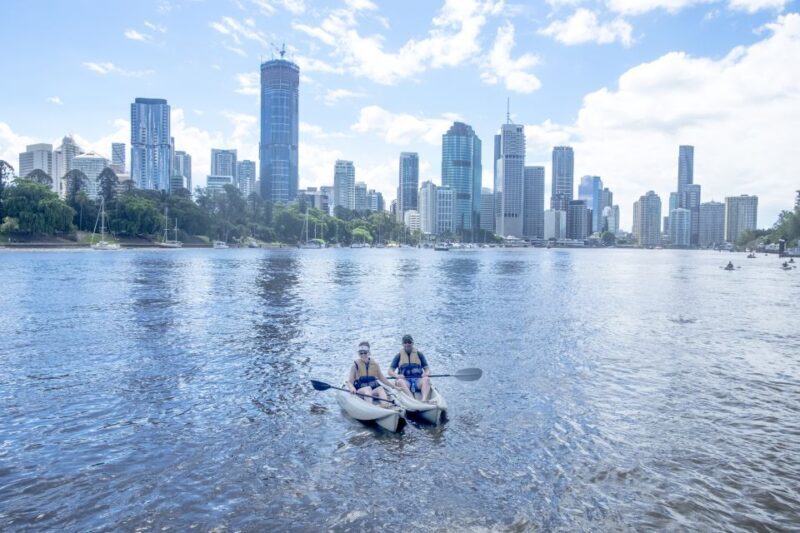 Brisbane: Guided River Kayak Tour - Who Should Consider This Tour