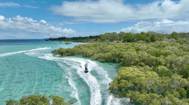 Brisbane: Half-Day Jetski Adventure to Moreton Bay Islands - Who Will Love This Tour?