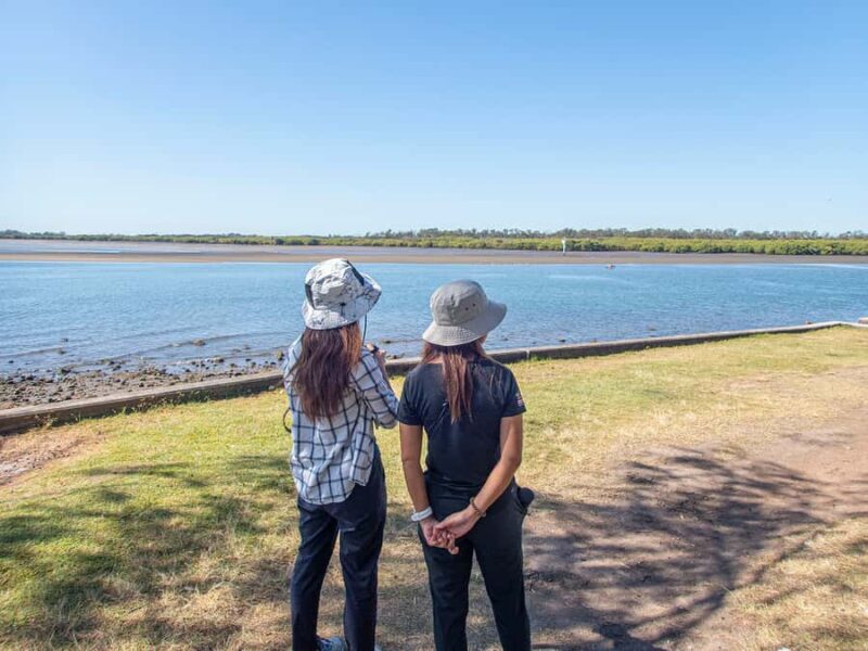 Brisbane: Kangaroos, Birds and Mangroves Coastal Tour - FAQs