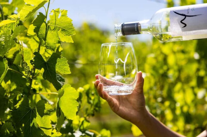 Brisbane: Premium Winery Tour with Gourmet Lunch - Final Thoughts