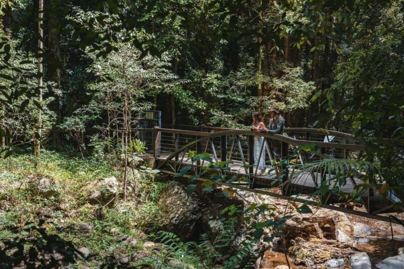 Brisbane: Rainforests, Waterfalls and Glow Worm Cave Tour - Key Points