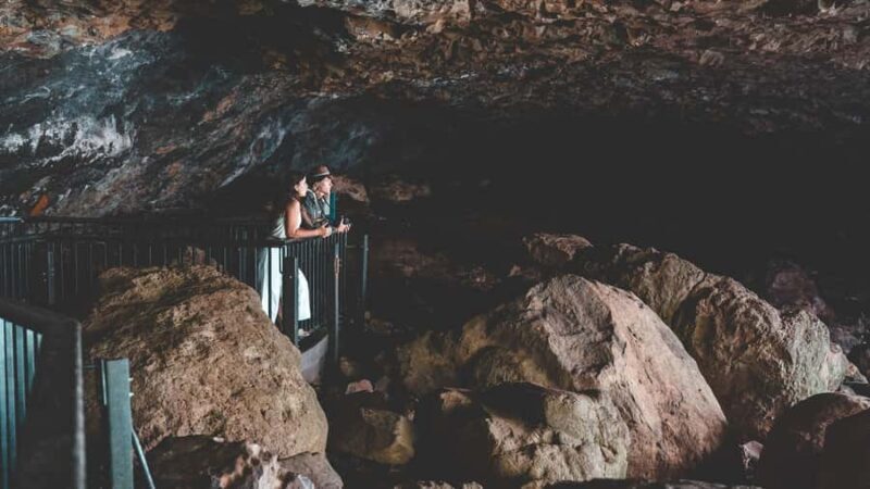 Brisbane: Rainforests, Waterfalls and Glow Worm Cave Tour - Who Should Consider This Tour?