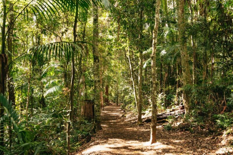 Brisbane: Rainforests, Waterfalls and Glow Worm Cave Tour - FAQ