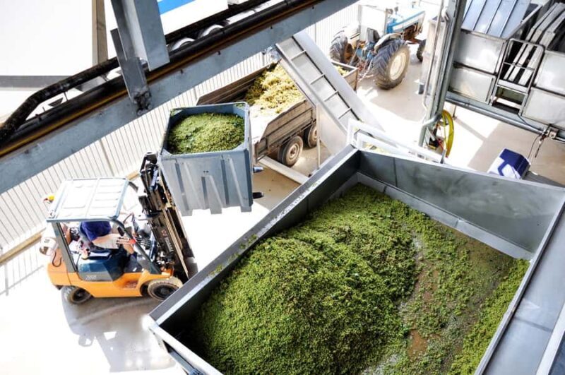 Brisbane: Sirromet Winery Tour with Tasting & 2-Course Lunch - Key Points