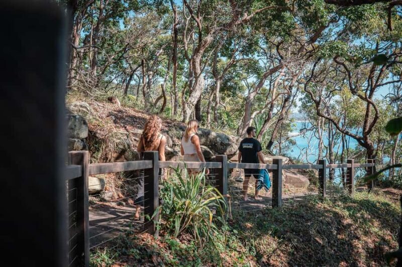 Brisbane: Sunshine Coast Hinterland & Noosa Scenic Tour - Eumundi Markets: A Food and Art Paradise