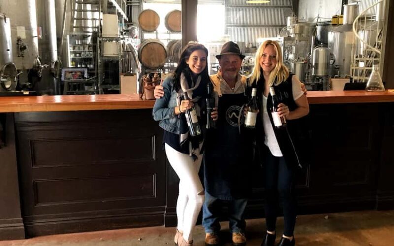 Brisbane: Tamborine Mountain Local Winery Tour with Lunch - Scenic Lookouts and Free Time in Gallery Walk