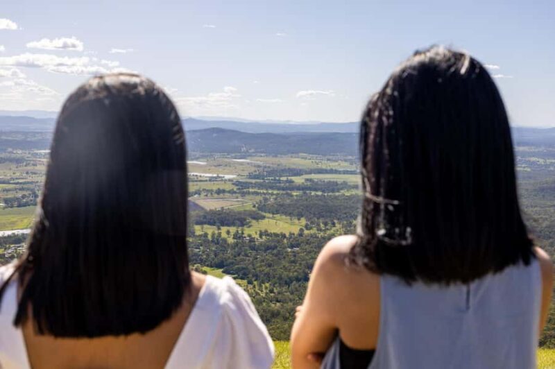 Brisbane: Tamborine Mountain Local Winery Tour with Lunch - Who Would Love This Tour?