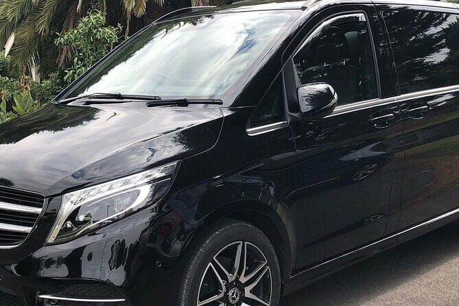 Brisbane to Brisbane Airport (BNE) - Departure Private Transfer - Final Thoughts
