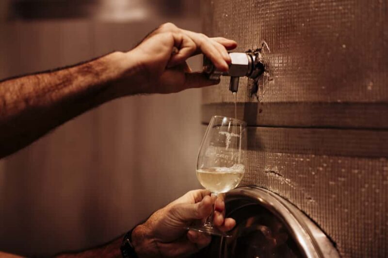 Brisbane: Wine & Dine In The Vines - Introduction