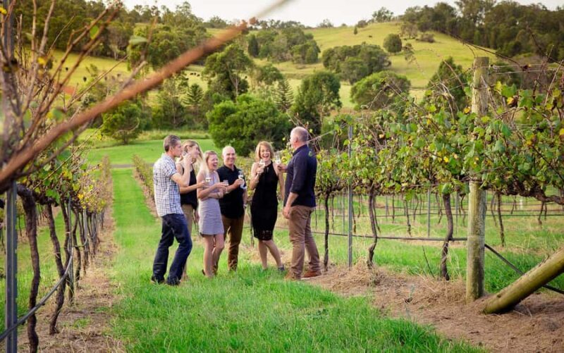 Brisbane: Wine & Dine In The Vines - Key Points