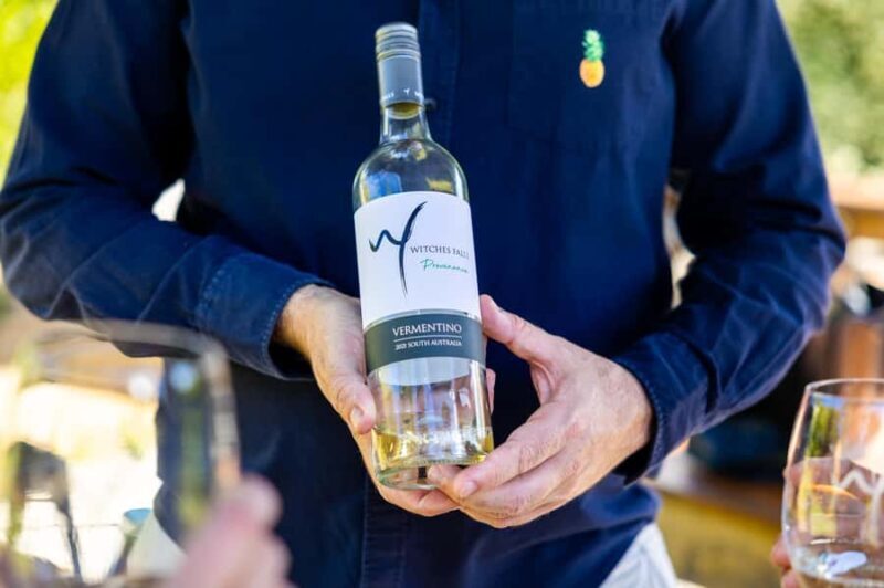 Brisbane: Wine Tasting - Hop on Hop off Tour to Mt Tamborine - What Makes This Tour a Good Choice?