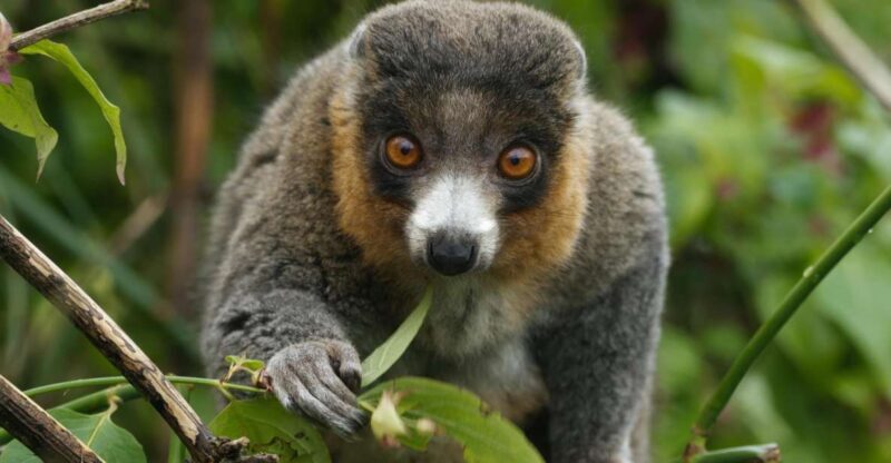 Bristol: Bristol Zoo Project Entry Ticket - Key Points