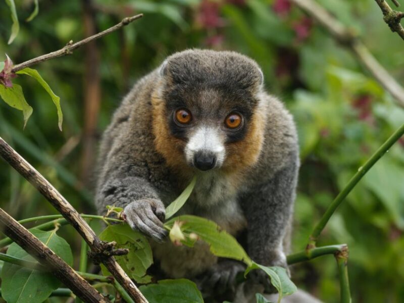 Bristol: Bristol Zoo Project Entry Ticket - Who Will Love This Experience?