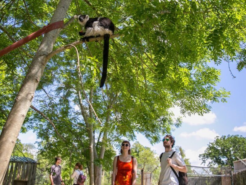 Bristol: Bristol Zoo Project Entry Ticket - Frequently Asked Questions