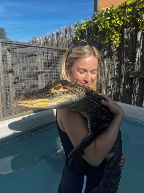 Bristol: Crocodile Swimming Experience coffee and cake - A Closer Look at the Croc R Us Experience