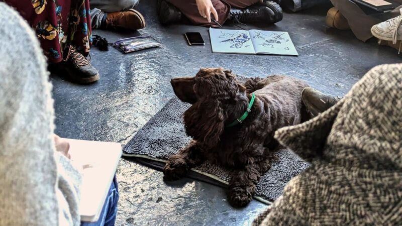 Bristol: Dog Life Drawing led by local Artist Cai Burton - Bristol: Dog Life Drawing led by local Artist Cai Burton
