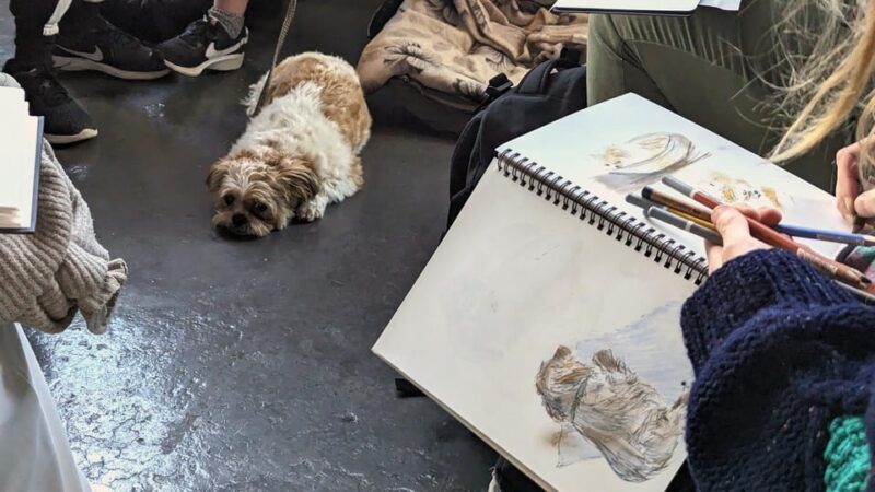 Bristol: Dog Life Drawing led by local Artist Cai Burton - Key Points