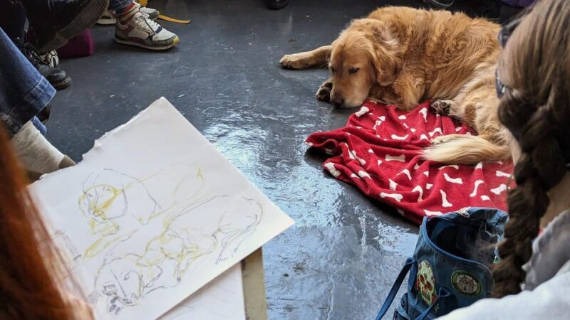 Bristol: Dog Life Drawing led by local Artist Cai Burton - Who Will Love This Tour?