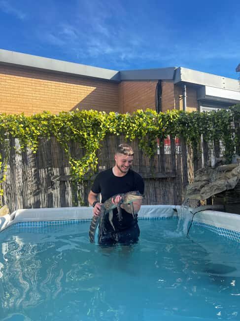 Bristol: Swimming with Crocodiles coffee and cake - An In-Depth Look at the Bristol Crocodile Experience