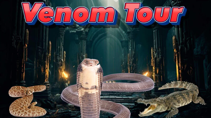 Bristol: Venomous Snake Tour w/ Guide & Croc Photo - Key Points