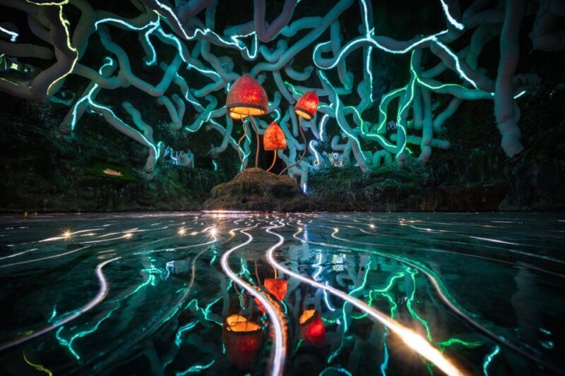 Bristol: Wake The Tiger Amazement Park Entry Ticket - The Walkthrough: What to Expect