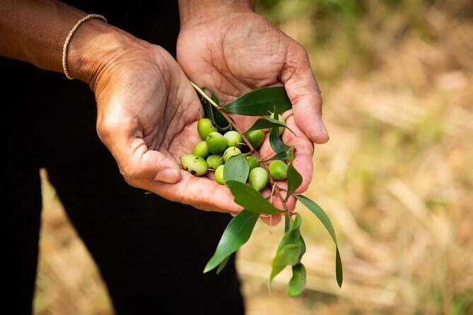 Broken Head Aboriginal Tour - FAQ