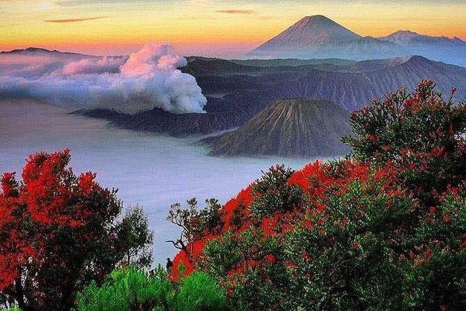Bromo Ijen Tour From Bali - A Closer Look at the 3-Day Itinerary