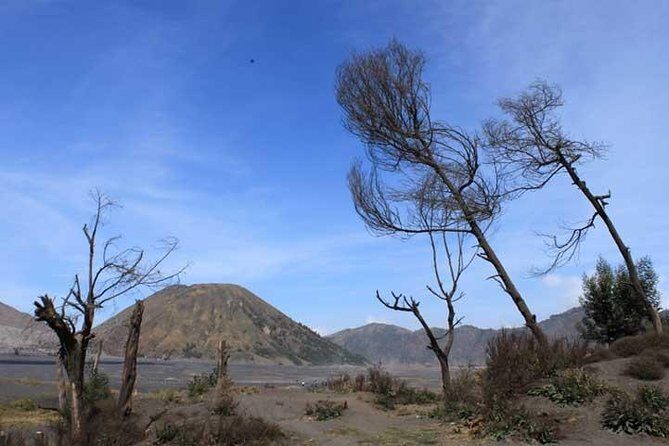Bromo panorama tour to avoid the crowds - start Malang // 1 day tour - A Full Breakdown of the Day