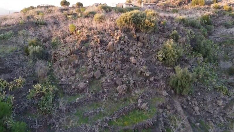 Bronte: Tour e degustazione nelle piantagioni di pistacchi - Who Will Love This Experience?