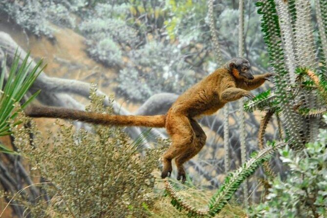 Bronx Zoo Admission Ticket - Analyzing the Bronx Zoo Experience: What You’ll Really Get