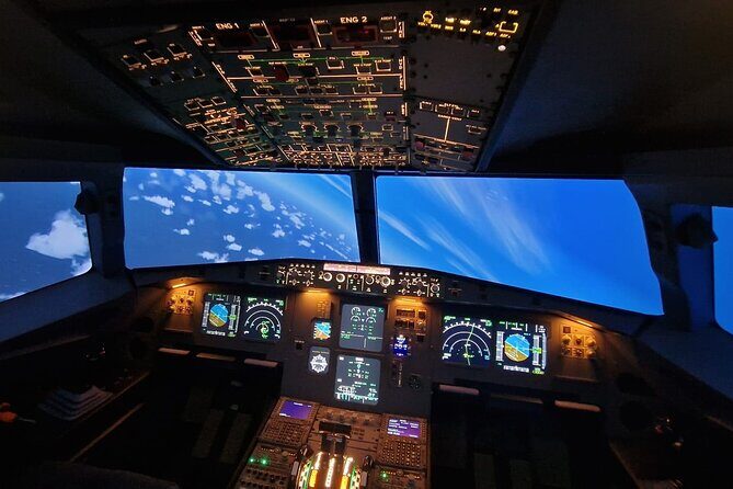 Bronze Fly Experience - A Detailed Look at the Bronze Fly Experience