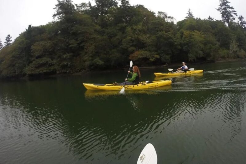 Brookings: Pacific Ocean Kayak Tour - An In-Depth Look at the Pacific Ocean Kayak Tour