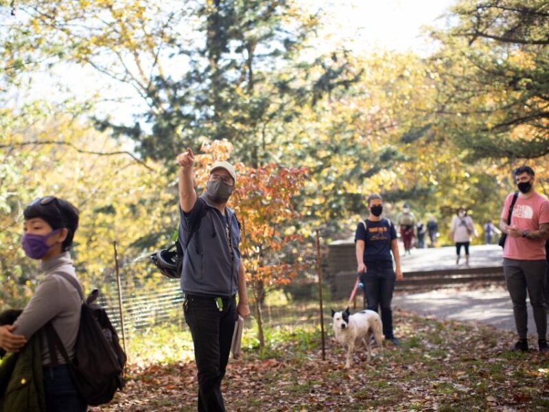 Brooklyn: 2-Hour Prospect Park Guided Walking Tour - Key Points
