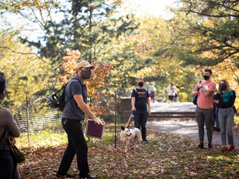 Brooklyn: 2-Hour Prospect Park Guided Walking Tour - A Closer Look at the Prospect Park Guided Tour