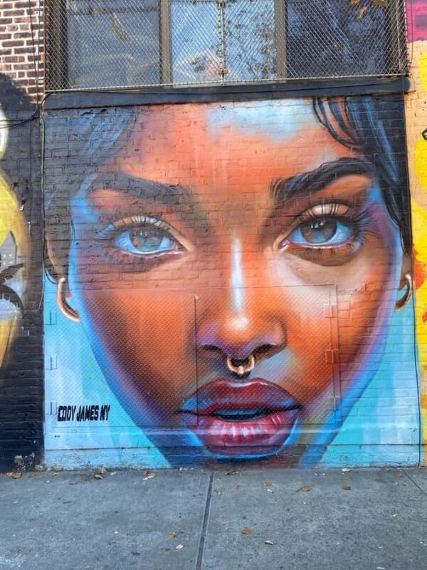 Brooklyn: Bushwick Graffiti Tour - Practical Details and Value