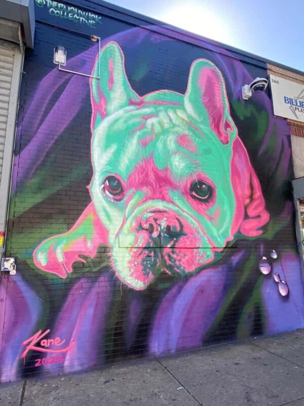 Brooklyn: Bushwick Graffiti Tour - Final Thoughts