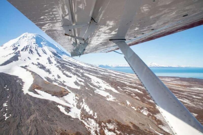 Brooks Falls: Katmai National Park Bear View by Floatplane - FAQ