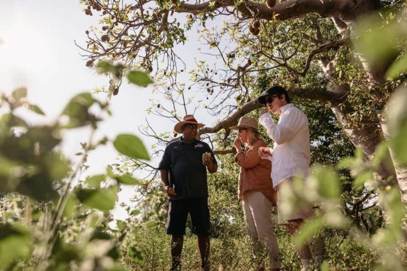 Broome: Cable Beach Indigenous Walking Tour - An Authentic Look at Broome’s Indigenous Heritage