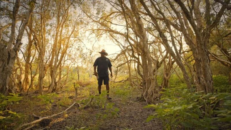 Broome: Cable Beach Indigenous Walking Tour - The Sum Up