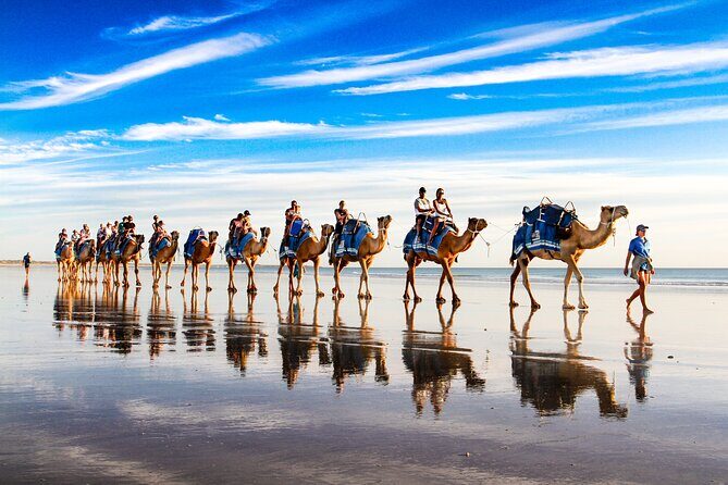 Broome Pre-sunset Camel Tour 30 minutes - A Deep Dive Into the Camel Ride Experience