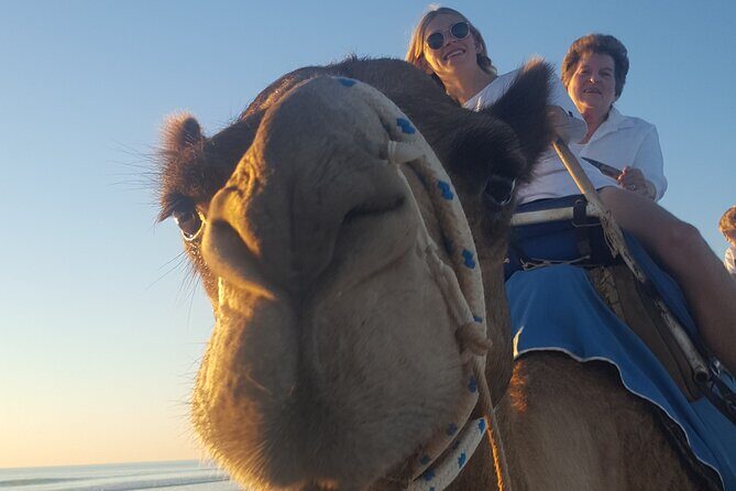 Broome Pre-sunset Camel Tour 30 minutes - Price and Value