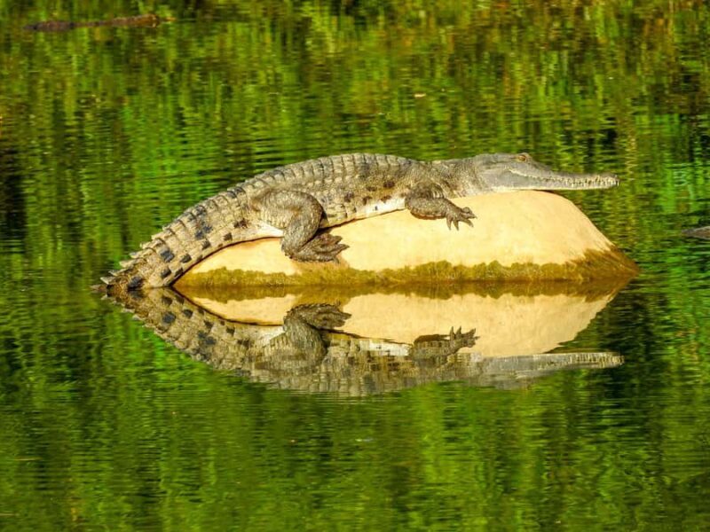 Broome to Darwin: 10 Day Kimberley Tour - Exploring Kimberley’s Waterfalls and Gorges