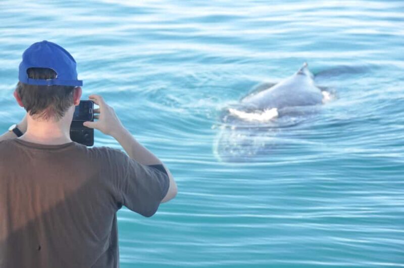 Broome: Whale Watching & Sunset Cruise - Detailed Review of the Components