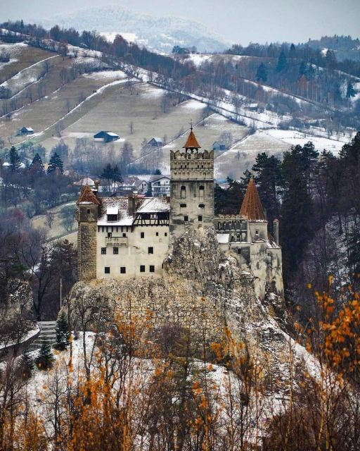 Brown Bear Sanctuary, Bran Castle & Rasnov Fortress Day Tour - Key Points